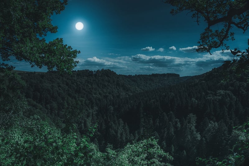 Moon Phase Planting Calendar