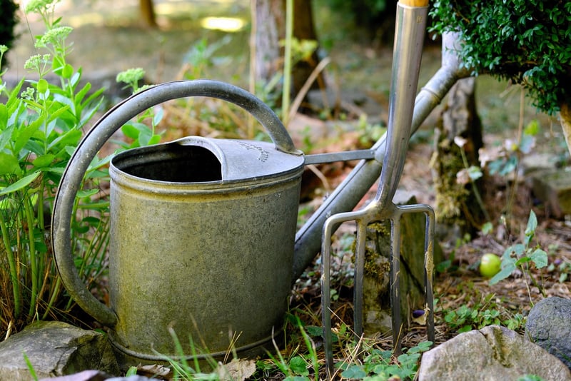 Crystal-infused Watering Can